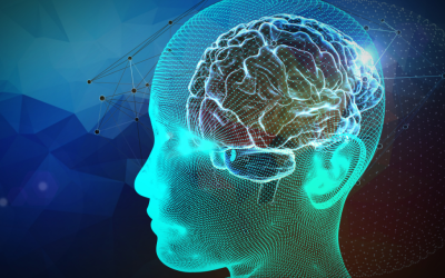 Comprendere la mente: 7 scoperte delle neuroscienze